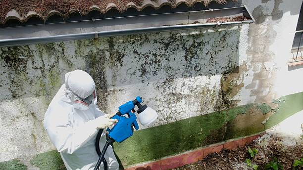 Top rated local Mold Cleanup specialists in Weston, NJ